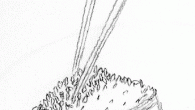 Préparation du riz parfumé ou riz jasmin Préparation du riz parfumé ou riz jasmin Le riz parfumé pousse paisiblement dans les rizières de Thaïlande et du Vietnam. Transplanté à la main, il sèche lentement au soleil. Ce...<div class="addthis_toolbox addthis_default_style addthis_" addthis:url='http://ba-noi.com/blog/preparation-du-riz-parfume-ou-riz-au-jasmin/' addthis:title='Préparation du riz parfumé ou riz jasmin ' ><a class="addthis_button_preferred_1"></a><a class="addthis_button_preferred_2"></a><a class="addthis_button_preferred_3"></a><a class="addthis_button_preferred_4"></a><a class="addthis_button_compact"></a></div>