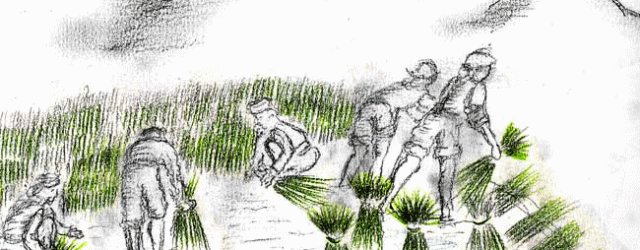 Rouleaux de printemps – Gỏi cuốn Portions : 2 rouleaux INGRÉDIENTS Rouleaux - 30 g vermicelles de riz - 2 galettes de riz vietnamiennes de 15cm de diamètre (bánh tráng)...<div class="addthis_toolbox addthis_default_style addthis_" addthis:url='http://ba-noi.com/blog/rouleaux-de-printemps-g%e1%bb%8fi-cu%e1%bb%91n/' addthis:title='Rouleaux de printemps – Gỏi cuốn ' ><a class="addthis_button_preferred_1"></a><a class="addthis_button_preferred_2"></a><a class="addthis_button_preferred_3"></a><a class="addthis_button_preferred_4"></a><a class="addthis_button_compact"></a></div>