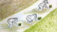 Conte du Vietnam – Les deux amis Les deux amis Il était une fois deux amis qui suivaient des cours chez un même vieux lettré du village. Ils étaient inséparables malgré leur différence de caractère. L’un, Luu...<div class="addthis_toolbox addthis_default_style addthis_" addthis:url='http://ba-noi.com/blog/conte-du-vietnam-les-deux-amis/' addthis:title='Conte du Vietnam – Les deux amis ' ><a class="addthis_button_preferred_1"></a><a class="addthis_button_preferred_2"></a><a class="addthis_button_preferred_3"></a><a class="addthis_button_preferred_4"></a><a class="addthis_button_compact"></a></div>